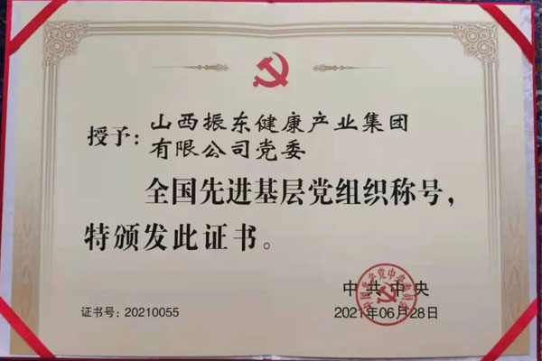 振东集团党委荣获“全国先进基层党组织”称号