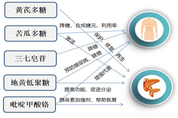 糖尿病,治疗糖尿病,治疗糖尿病的苦瓜铬胶囊