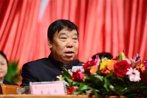 振东集团李安平董事长作报告